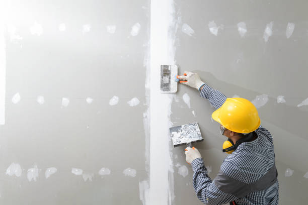 Best Real Estate Mold Inspection  in Muldraugh, KY