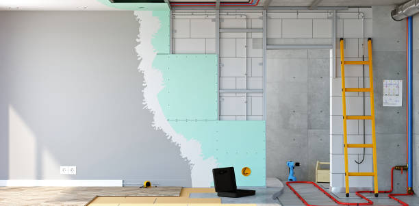 Best Basement Mold Removal  in Muldraugh, KY