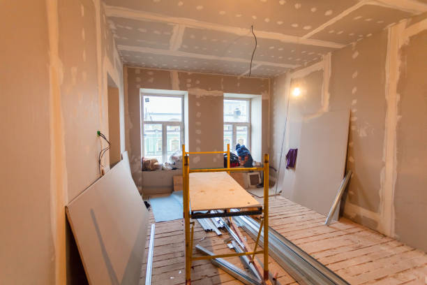 Best Asbestos and Lead Testing During Mold Inspection  in Muldraugh, KY